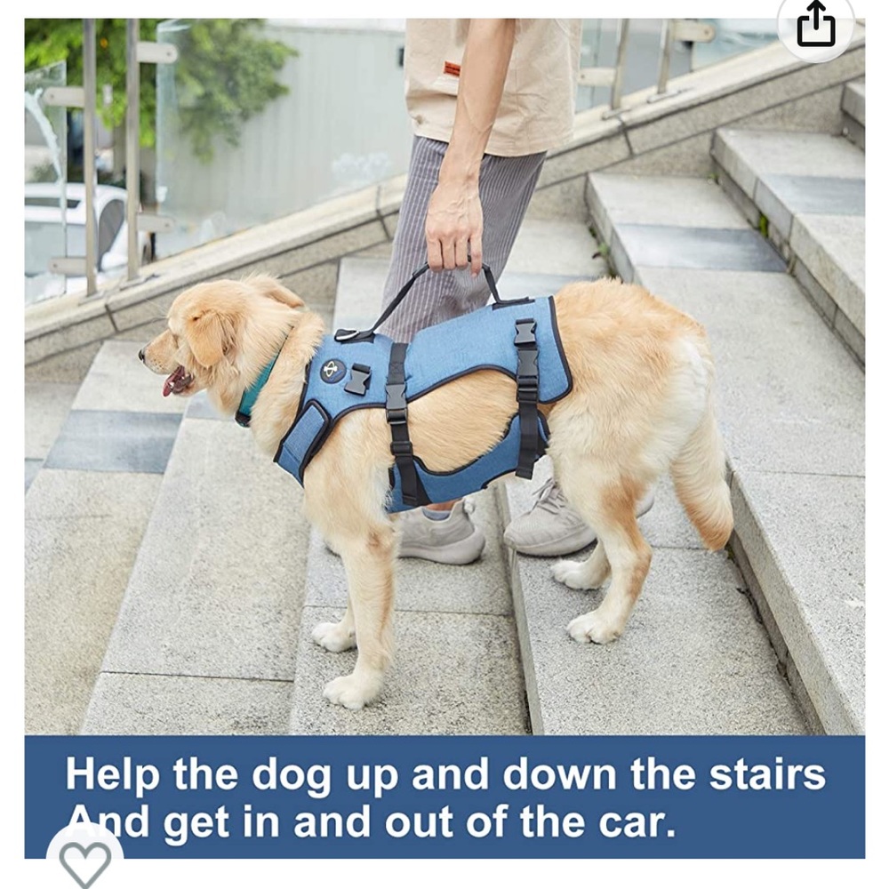 Coodeo Lift Support Harness XL NWOT